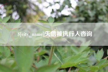 丽江失信被执行人杳询