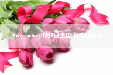 丽江11月9日全国消防日图片