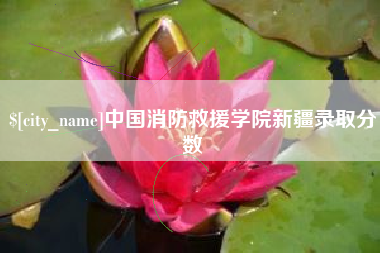 丽江中国消防救援学院新疆录取分数