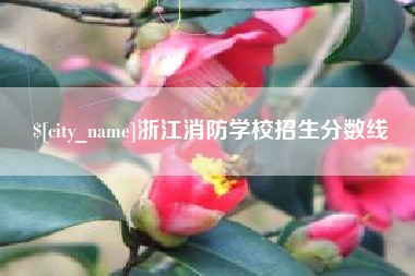 丽江浙江消防学校招生分数线