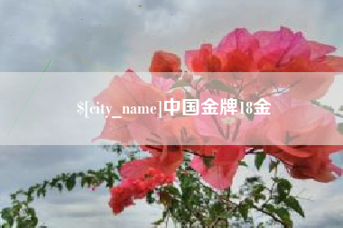 丽江中国金牌18金