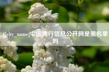 丽江中国执行信息公开网是黑名单吗
