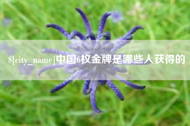 丽江中国6枚金牌是哪些人获得的