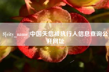 丽江中国失信被执行人信息查询公开网址