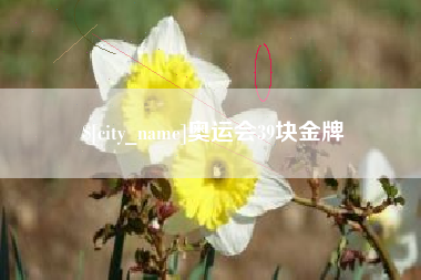 丽江奥运会39块金牌