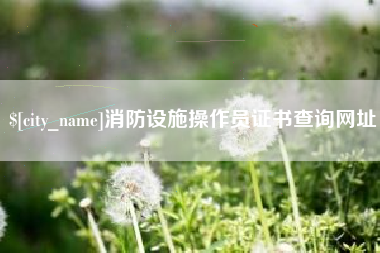 丽江消防设施操作员证书查询网址