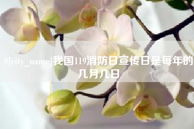 丽江我国119消防日宣传日是每年的几月几日