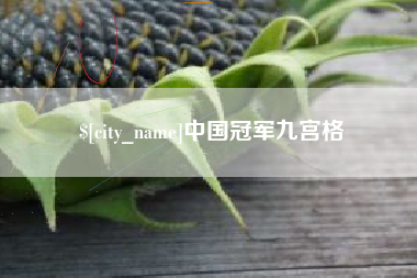 丽江中国冠军九宫格
