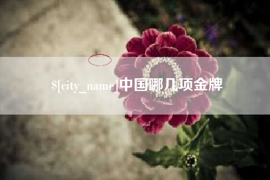 丽江中国哪几项金牌