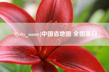 丽江中国省地图 全图黑白