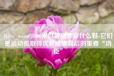 丽江5000米世界冠军穿什么鞋-它们是运动员取得优异成绩背后的重要“功臣”