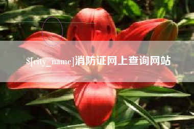 丽江消防证网上查询网站