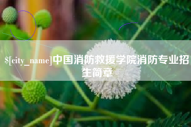 丽江中国消防救援学院消防专业招生简章