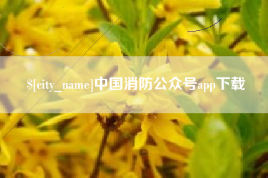 丽江中国消防公众号app下载