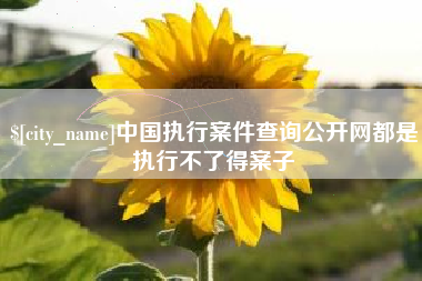 丽江中国执行案件查询公开网都是执行不了得案子