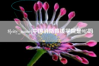 丽江中国消防救援学院是985吗