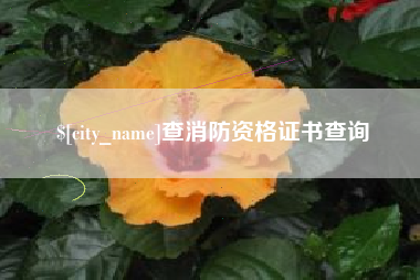 丽江查消防资格证书查询
