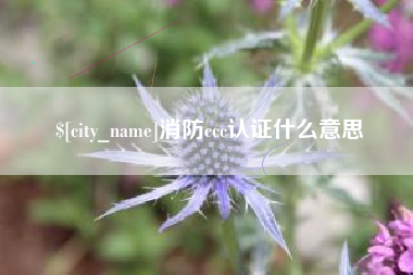 丽江消防ccc认证什么意思