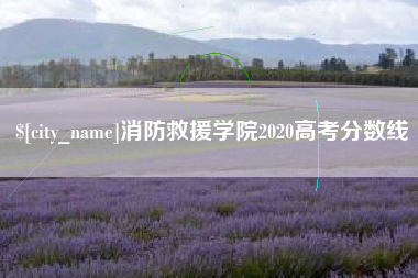 丽江消防救援学院2020高考分数线