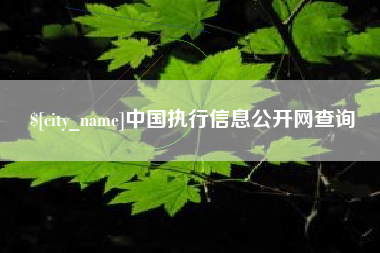 丽江中国执行信息公开网查询