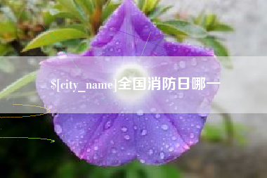 丽江全国消防日哪一