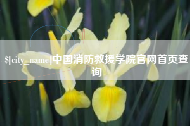 丽江中国消防救援学院官网首页查询