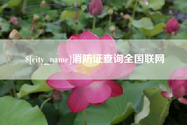 丽江消防证查询全国联网