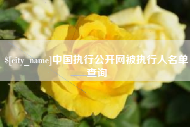 丽江中国执行公开网被执行人名单查询