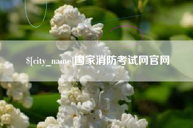 丽江国家消防考试网官网