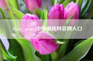 丽江中国消防网官网入口