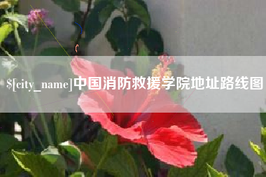 丽江中国消防救援学院地址路线图