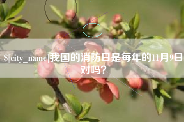 丽江我国的消防日是每年的11月9日对吗？