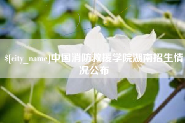 丽江中国消防救援学院湖南招生情况公布