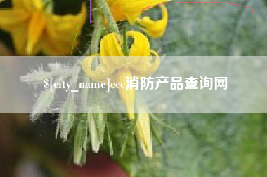 丽江ccc消防产品查询网