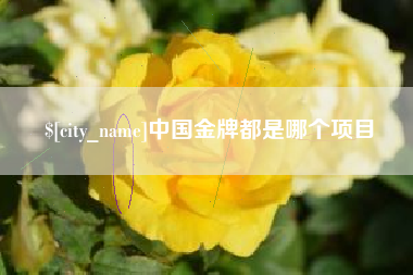 丽江中国金牌都是哪个项目