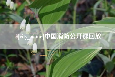 丽江中国消防公开课回放