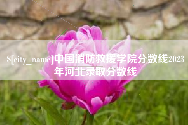 丽江中国消防救援学院分数线2023年河北录取分数线
