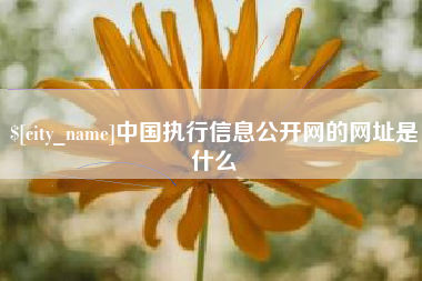 丽江中国执行信息公开网的网址是什么