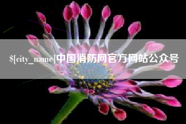 丽江中国消防网官方网站公众号