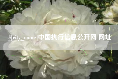 丽江中国执行信息公开网 网址