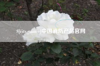 丽江中国消防产品官网