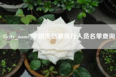 丽江中国失信被执行人员名单查询
