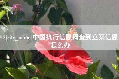 丽江中国执行信息网查到立案信息怎么办