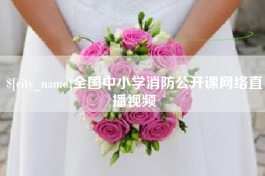 丽江全国中小学消防公开课网络直播视频