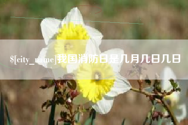 丽江我国消防日是几月几日几日