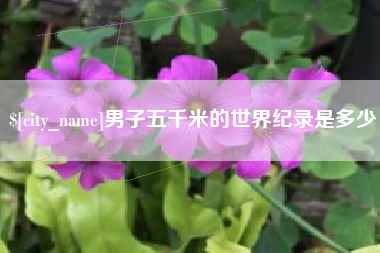 丽江男子五千米的世界纪录是多少