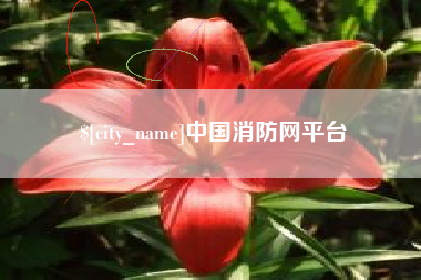丽江中国消防网平台