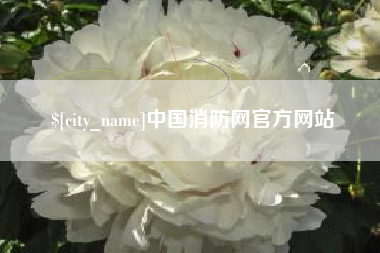 丽江中国消防网官方网站