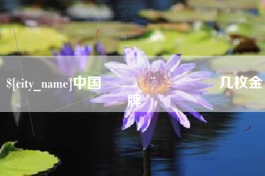 丽江中国🇨🇳几枚金牌