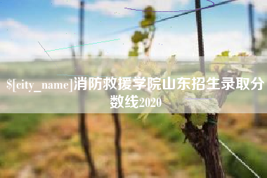 丽江消防救援学院山东招生录取分数线2020